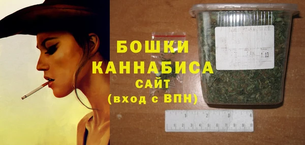 крисы Няндома