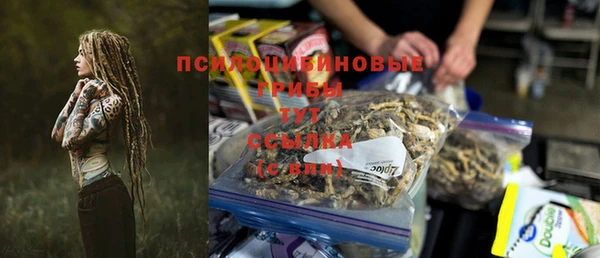 PSILOCYBIN Осинники
