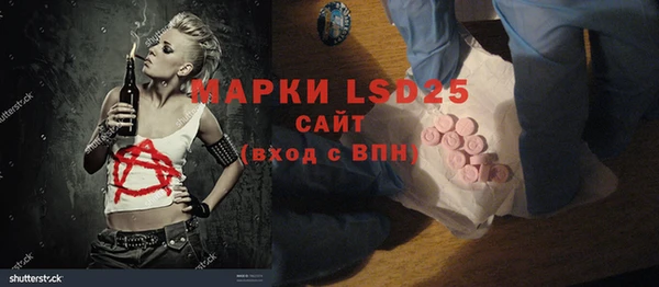 PSILOCYBIN Осинники